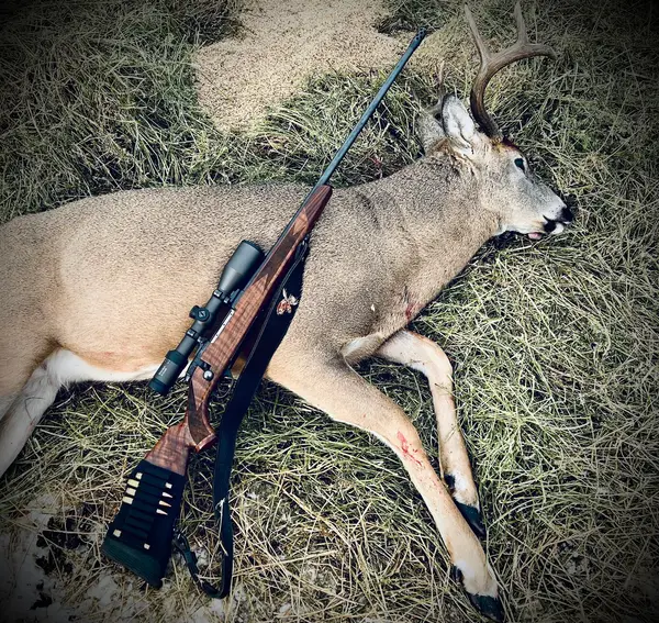 Elusive Saskatchewan Whitetail Outfitting, photo 2