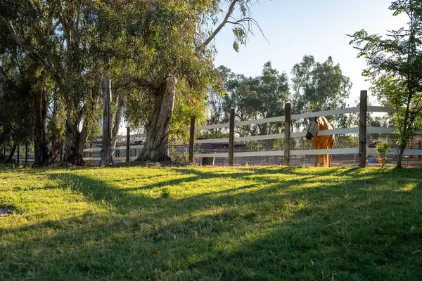 Elverta Boarding Stables, photo 1