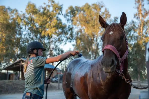 Elverta Boarding Stables, photo 2