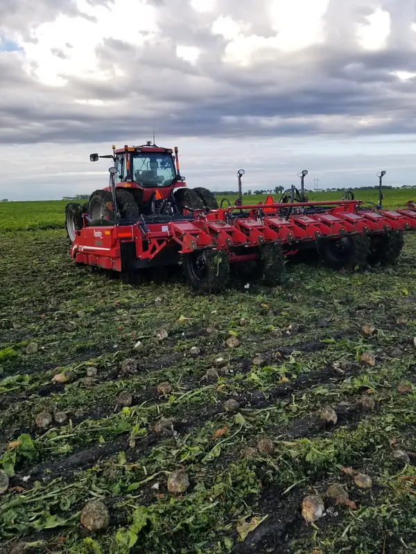 Emanuelson Family Farms, Drayton, ND