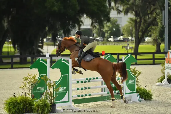 Empire Equestrian Academy, photo 2