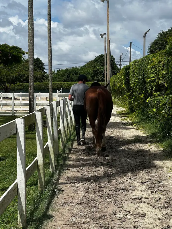 Empire Equestrian Academy, photo 3