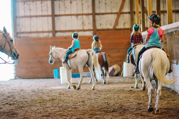 Enchanted Hollow Stables