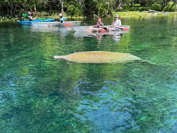 Epic Paddle Adventures