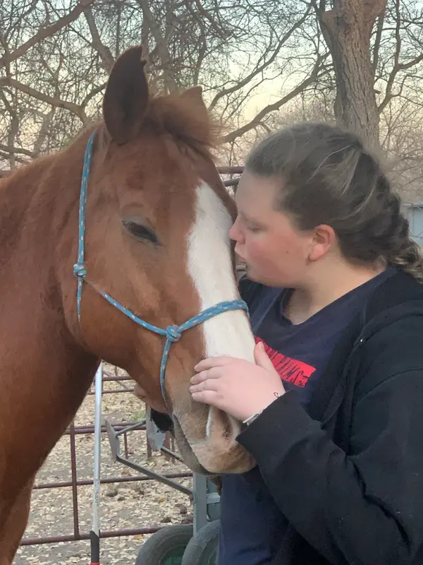 Equal Partners Horsemanship, photo 2