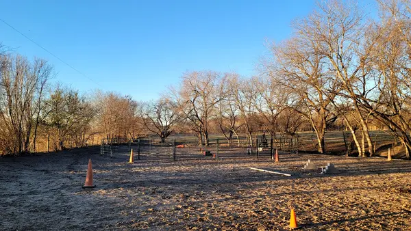 Equal Partners Horsemanship, photo 3