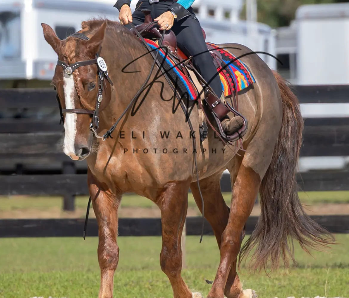 Equestrian Training Center of Ocala