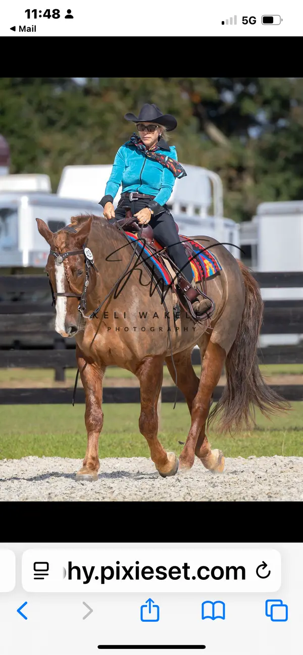 Equestrian Training Center of Ocala