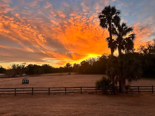Equestrian Training Center of Ocala, photo 2