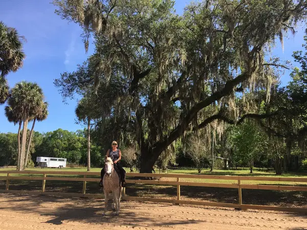 Equestrian Training Center of Ocala, photo 3