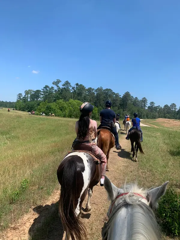 Equestrian Ventures Training, photo 1