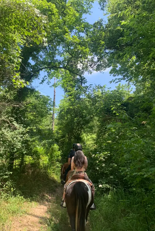 Equestrian Ventures Training, photo 3