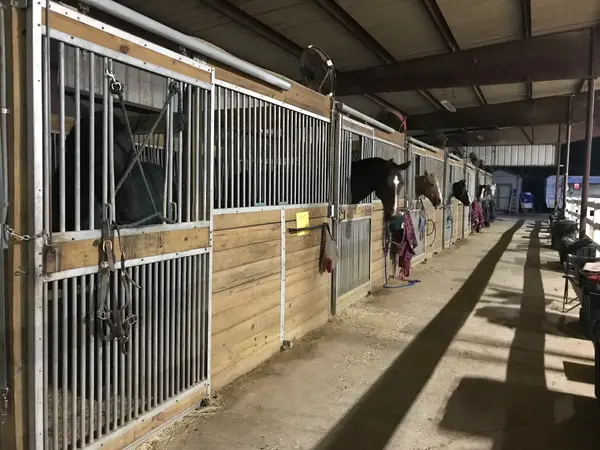 Equine International Stables, photo 1