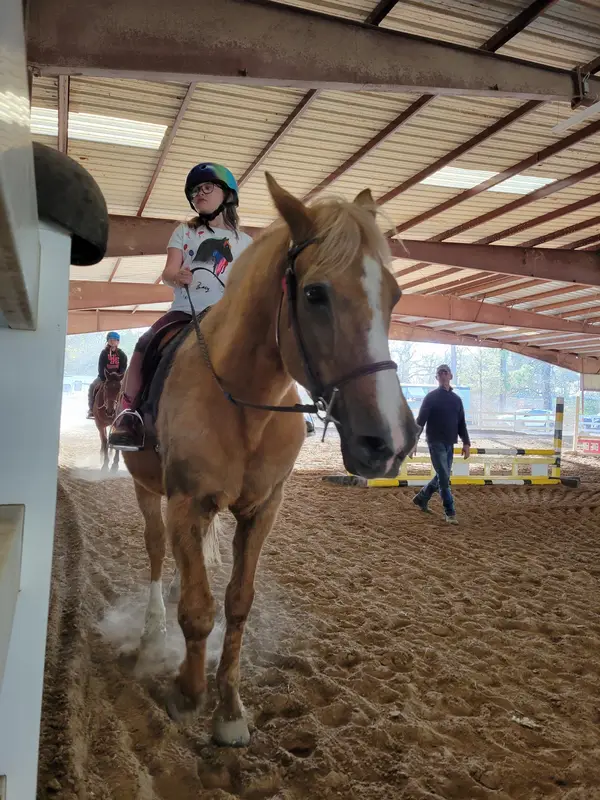 Equine International Stables, photo 2