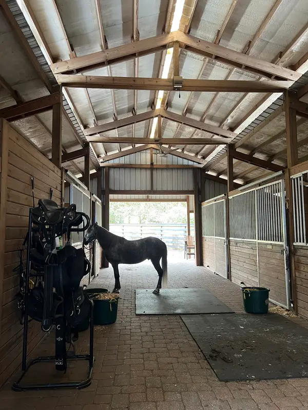 Escape with horses