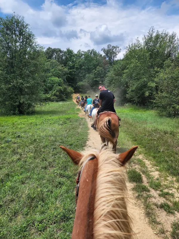 Establo caballos - Piscataway Riding Stables Inc