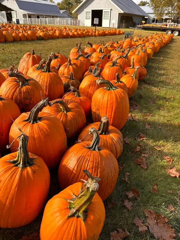 Eveland Family Farm, Andover, MN