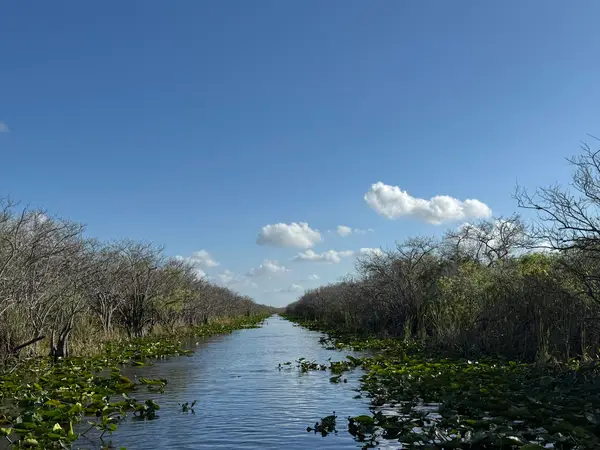 Everglades Airboat Expeditions, Miami, FL