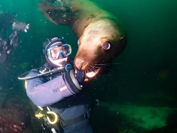 Evergreen Dive Service