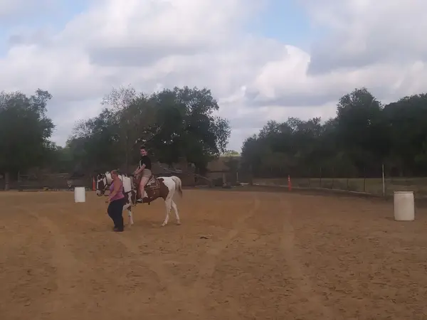 Everything Horse, photo 2