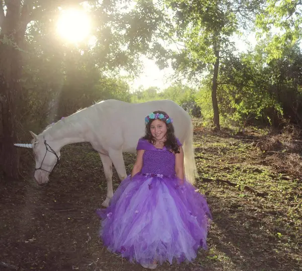 Everything Horse, photo 3