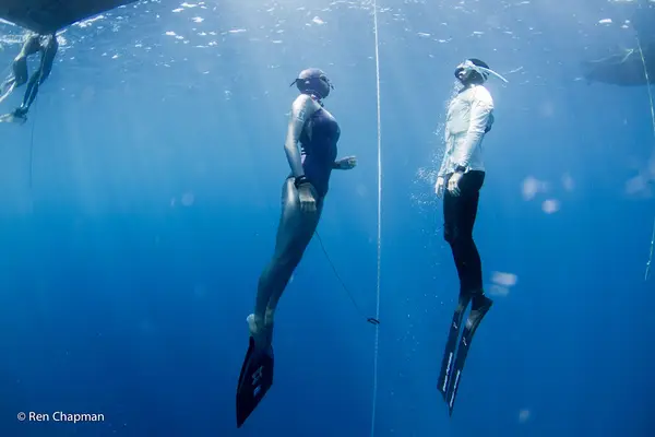 Evolve Freediving