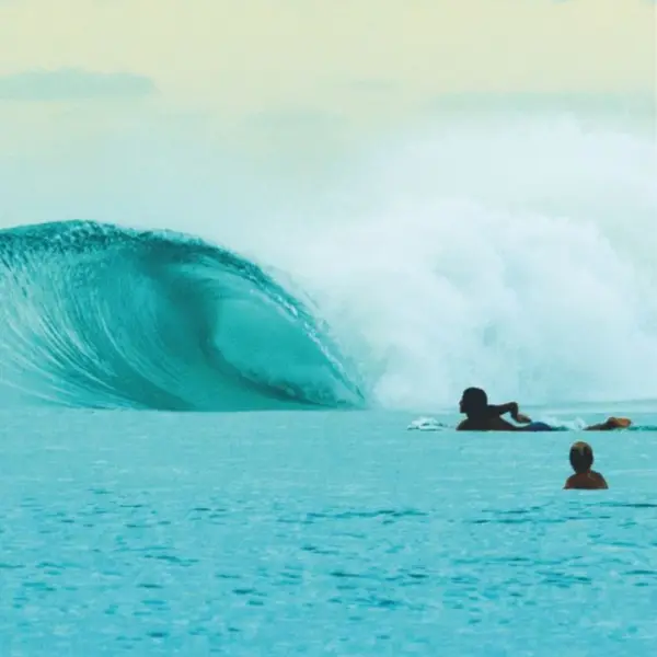 Extra Surf School