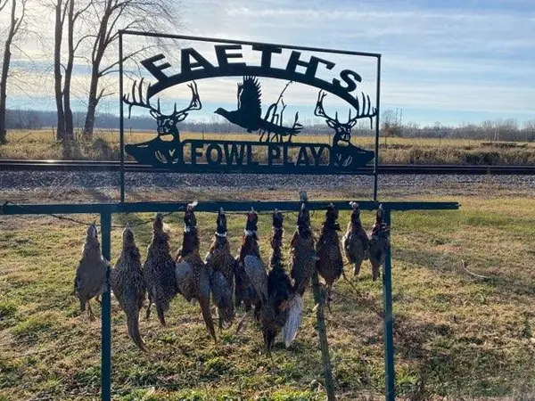 Faeth's Fowl Play