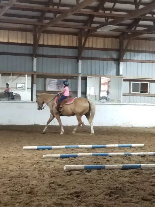 Fairview Stables LLC