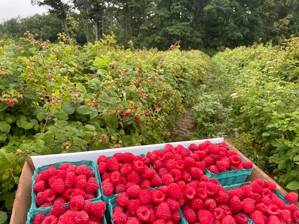 Fairwinds Farm, Bowdoinham, ME