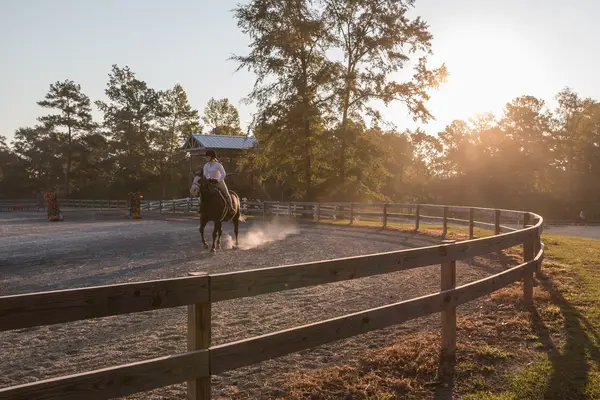 Falcon Hill Farm