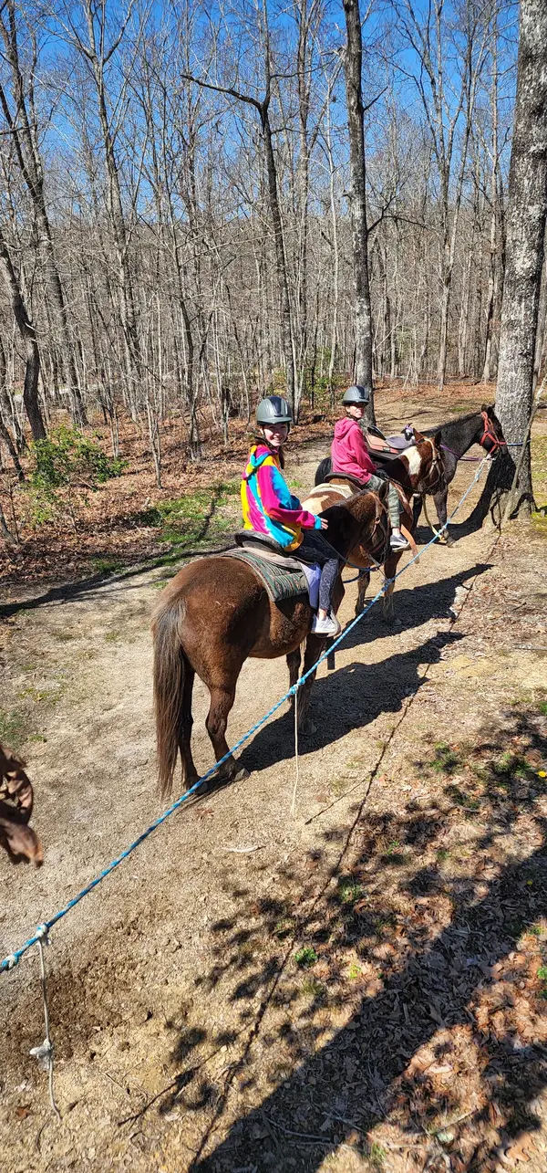 Fall Creek Falls Riding Stables