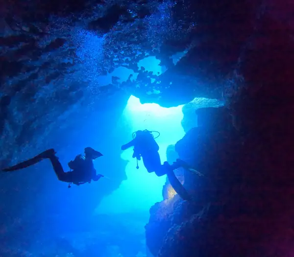 Family Diving Gozo