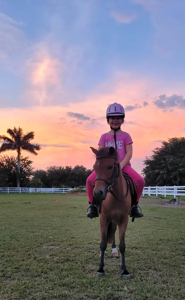 Family Horse Academy