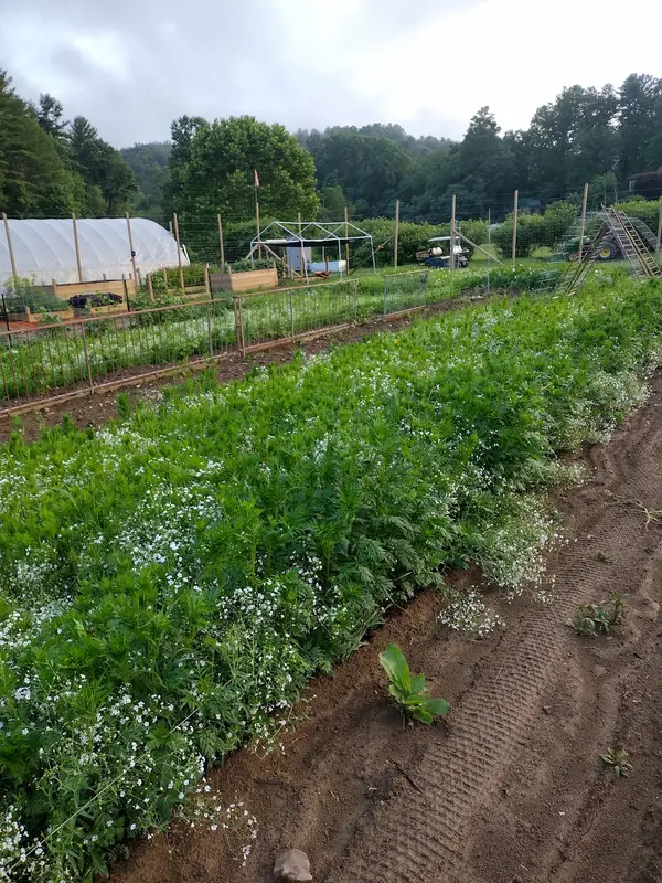FamilyGatheringFarms&Forests, Copper Hill, VA