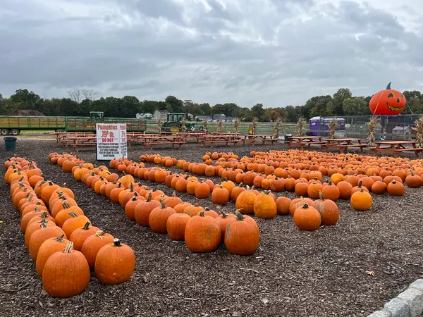 Farms View Roadstand, Wayne, NJ