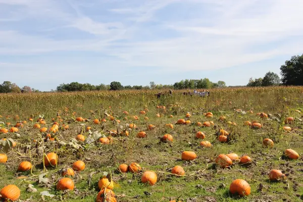 Fick Farms, Lapeer, MI