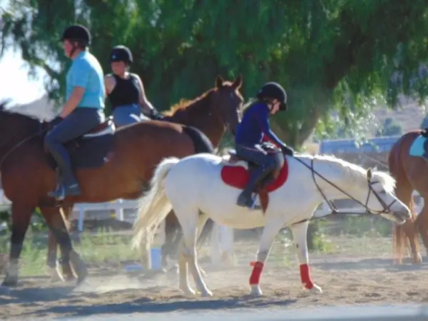 Fieldstone Riding Club