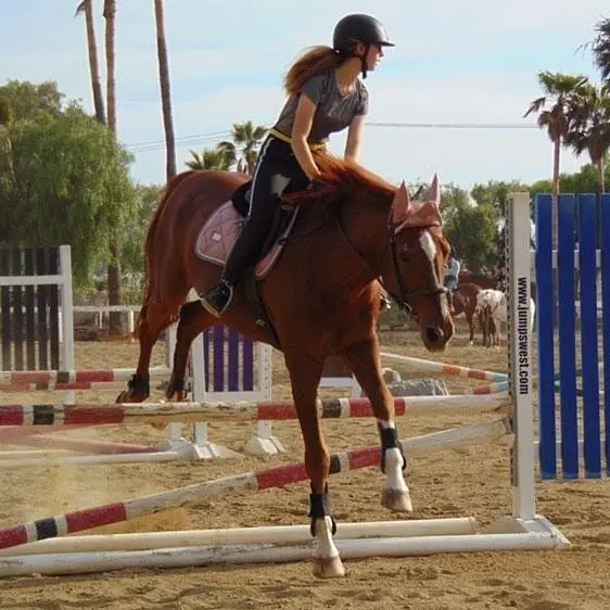 Fieldstone Riding Club, photo 1