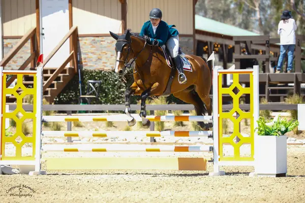 Fieldstone Riding Club, photo 3