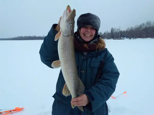 Fifield Outfitters