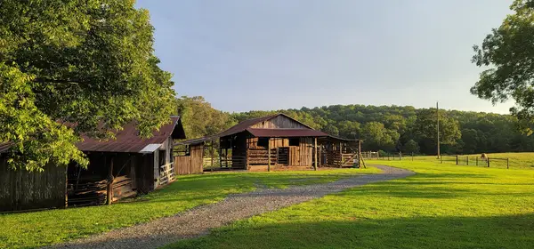 Fine Family Farm, Denton, NC