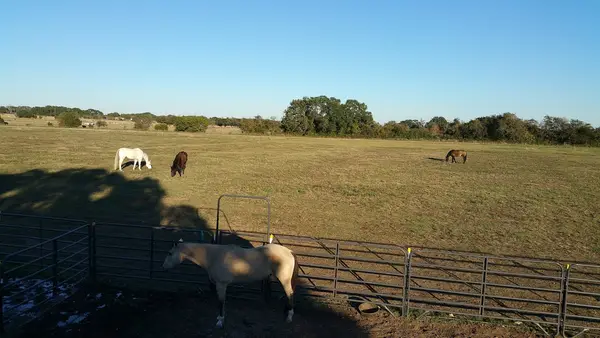 Fine Print Farms, photo 1