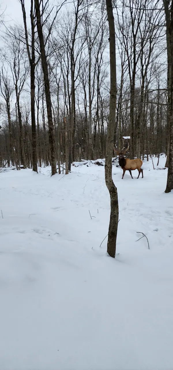 Finger Lakes Hunting Preserve