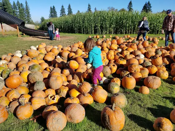Fir Point Farms, Aurora, OR