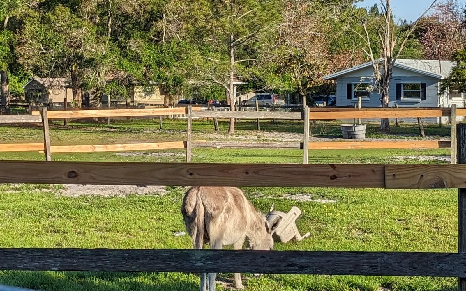 First Choice Equestrian Center