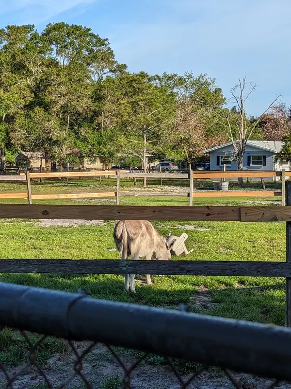 First Choice Equestrian Center, photo 4