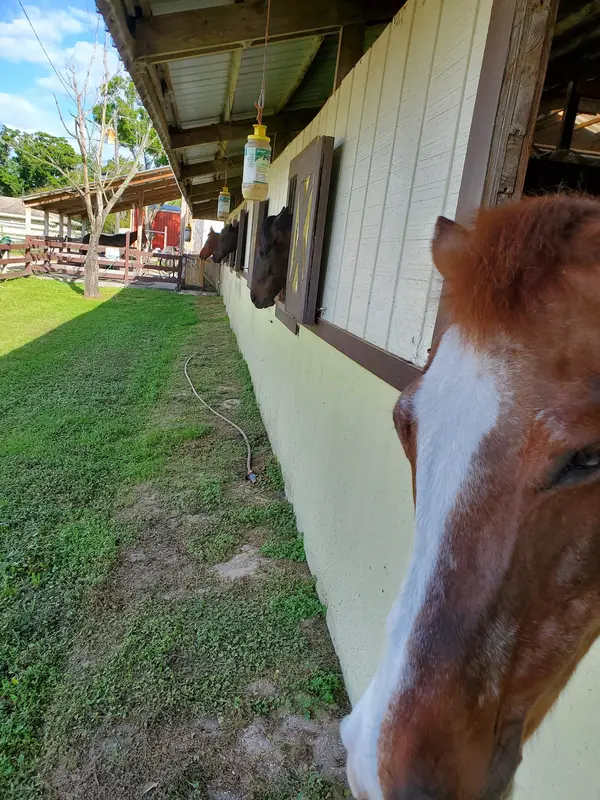 First Choice Equestrian Center, photo 2