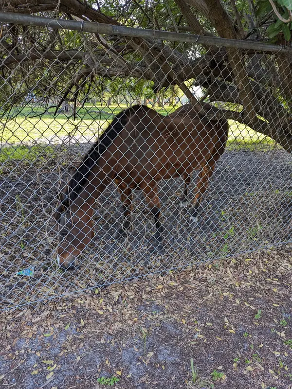 First Choice Equestrian Center, photo 3