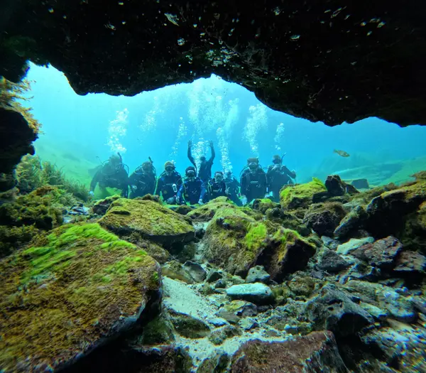 First Coast Divers